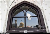 مراسم عزاداری تاسوعای حسینی در مشهد