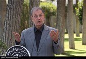 علی ربیعی سخنگوی دولت درحاشیه جلسه هیئت دولت 