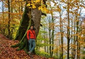 بی‌حرمتی به مادرم ایران را برنمی‌تابم