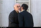 علی‌اکبر صالحی رئیس سازمان انرژی اتمی در حاشیه جلسه هیئت دولت 