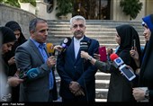 رضا اردکانیان وزیر نیرو در حاشیه جلسه هیئت دولت 