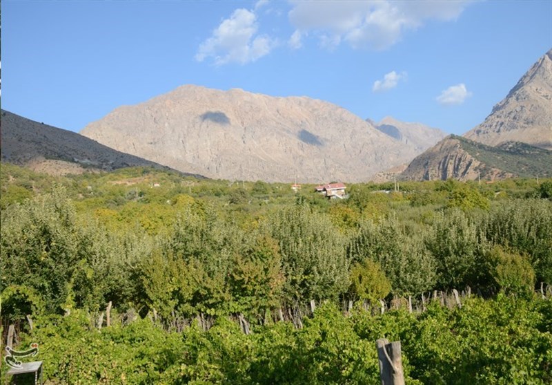 کشاورزی ,