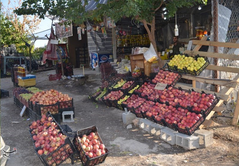 کشاورزی ,