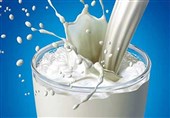 قیمت جدید شیر خام اعلام شد