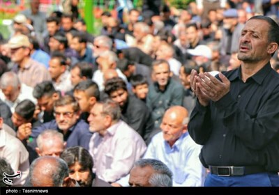 موکب رضوی ,