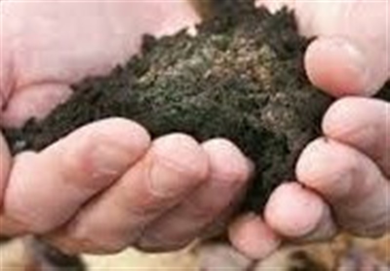 کشمکش و جدال دولت و بخش خصوصی بر سر مالکیت پسماند روی / دستگاه قضا به نفع مردم رای‌ داد
