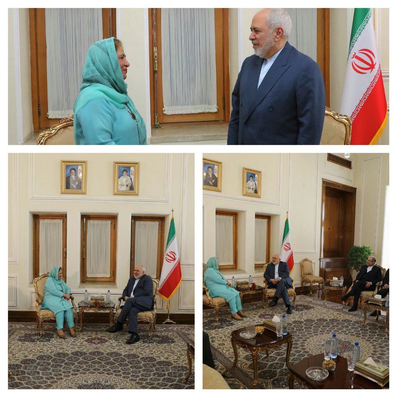محمدجواد ظریف , 
