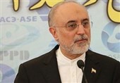قائم‌مقام فرهنگستان علوم: در بیان نقص‌ها نباید دچار خودتحقیری شویم
