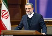 اسماعیلی: در انتقال اموال خارج از کشور بابک زنجانی فعلا توفیقی حاصل نشده/قطعیت حکم مهدی جهانگیری کذب است