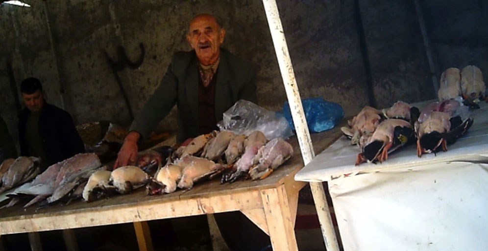سازمان محیط زیست , 