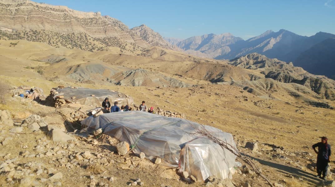 موسیقی , علی‌اکبر شکارچی , 