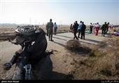 سقوط هواپیمای بوئینگ اوکراینی در جنوب تهران