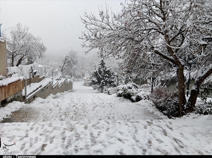 بارندگی , 