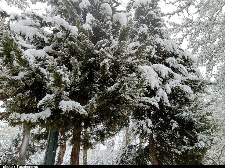 بارندگی , 