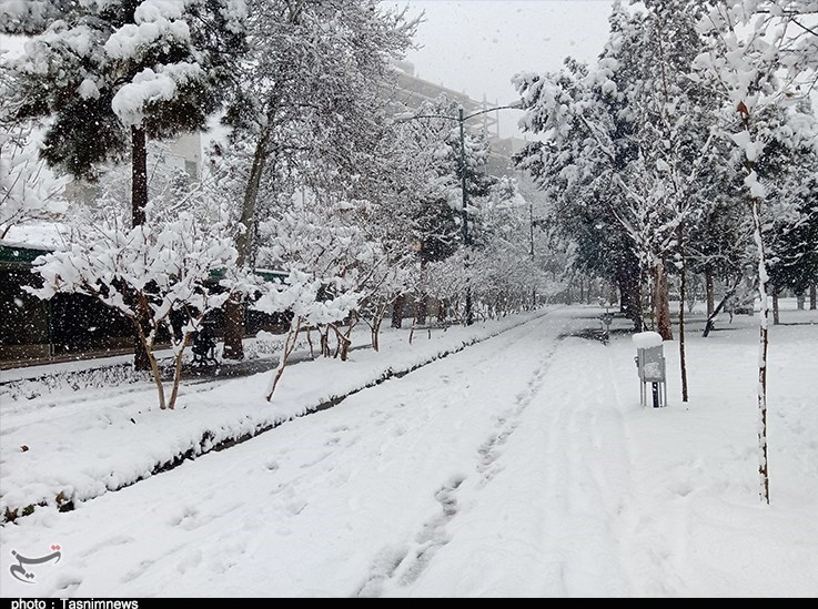 بارندگی , 