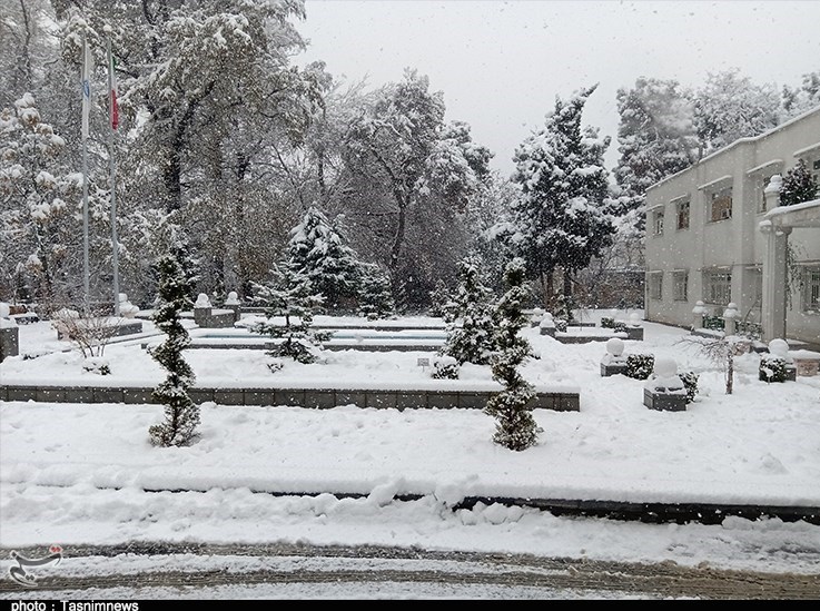 بارندگی , 