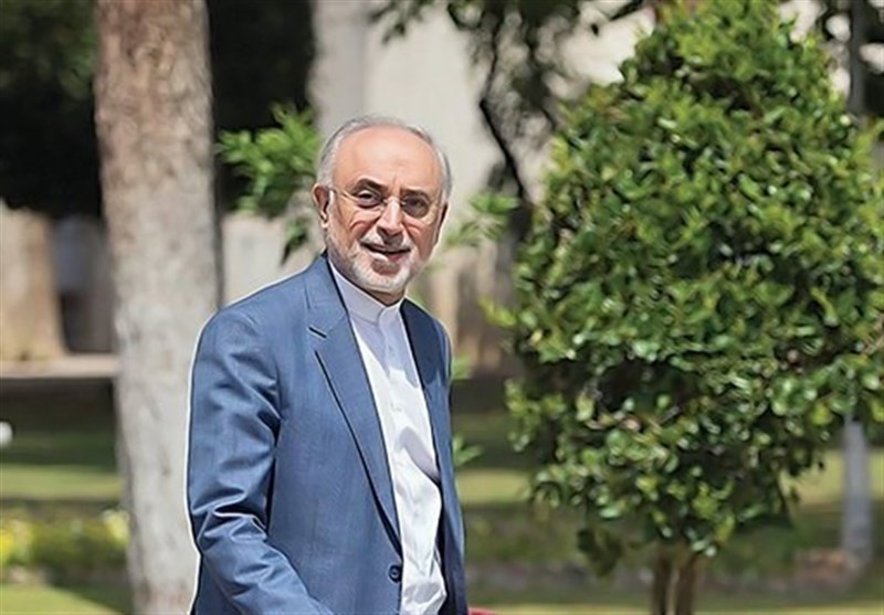 اختصاصی| علی‌اکبر صالحی: فعلاً تصمیم قطعی برای کاندیداتوری انتخابات 1400 نگرفته‌ام؛ در حال بررسی هستم