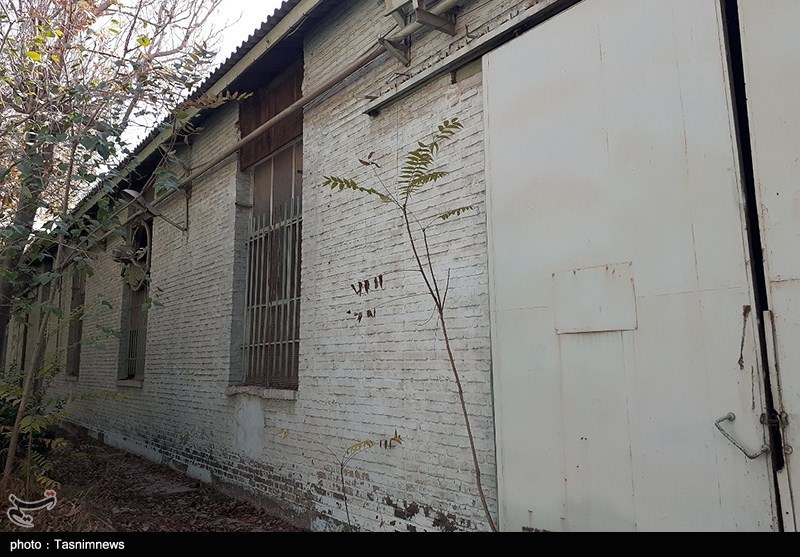 سازمان چای کشور , کالاهای اساسی , کشاورزی , وزارت جهاد کشاورزی , سازمان تعاونی روستایی ایران , 