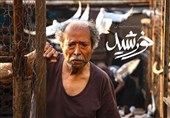 گفت‌وگو با علی نصیریان در زادروزش: در کودکی تعزیه موجب علاقه من به تئاتر شد/ سینمای ایران بسیار رشد کرده است