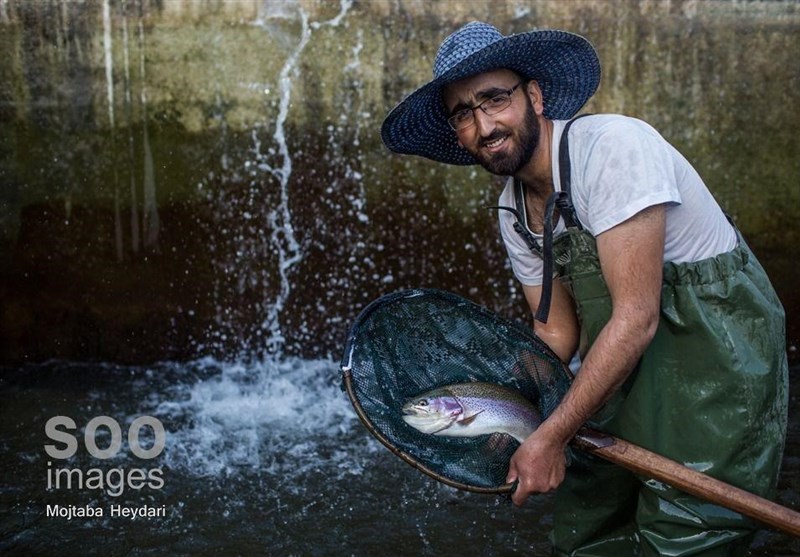 عکس , عکاسی , اقتصاد مقاومتی ,
