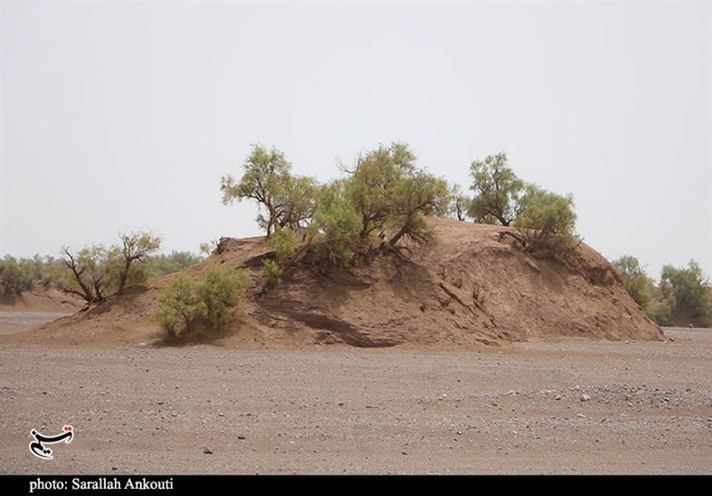 استان کرمان , سازمان میراث فرهنگی، صنایع دستی و گردشگری , 