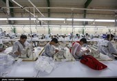 چرا "احساس بیکاری" در استان البرز همچنان بالاست؟/ گرایش متولدین دهه 70 و 80 به اقتصاد دیجیتال