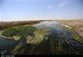 سازماندهی تالاب گاوخونی هدف ستاد احیای زاینده‌رود