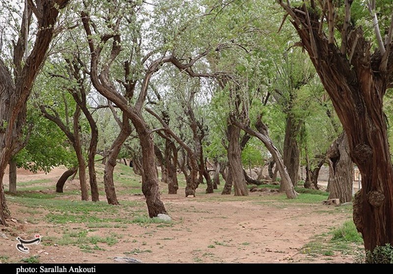 استان کرمان , زندگی روستایی , گردشگری سلامت , 