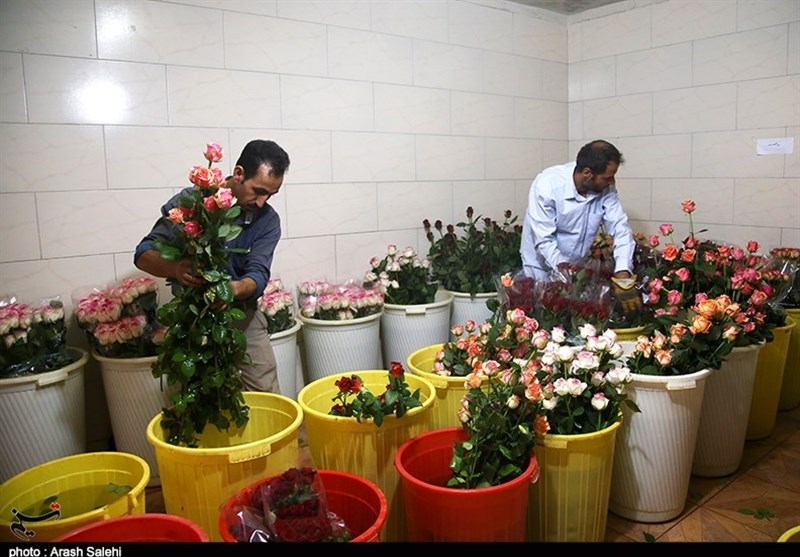 اقتصاد قوی , کشاورزی , 
