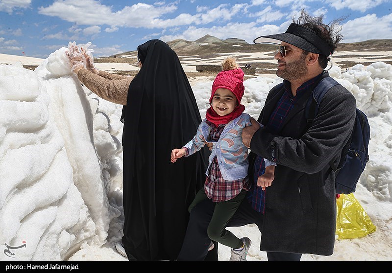 شهرداری تهران ,