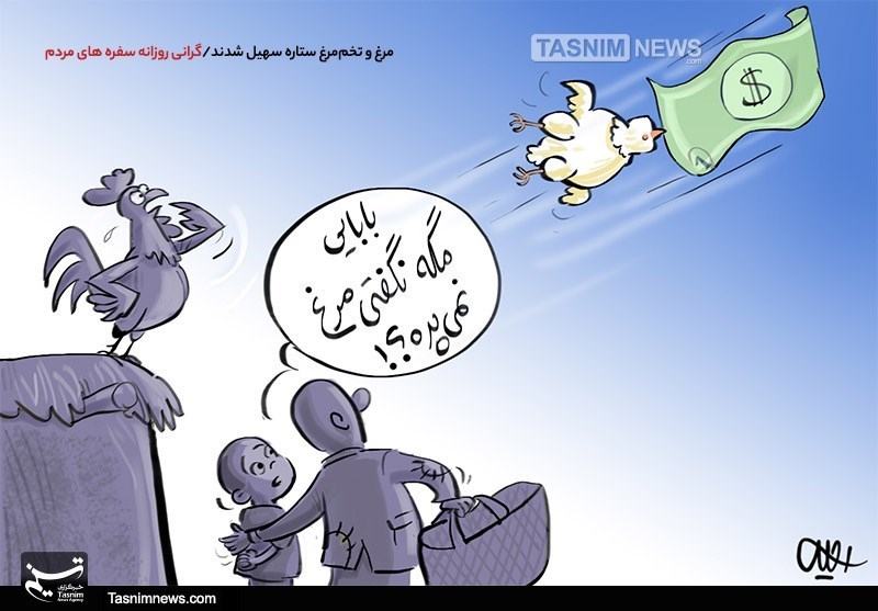 علت اصلی گرانی مرغ در بازار مشخص شد/دولت توانایی تأمین نهاده‌های مصرفی را ندارد