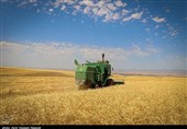 رشد 5.5 درصدی تراز اقتصادی خراسان شمالی با توسعه کشاورزی