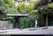 گذری در شهر- قیطریه