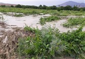 هشدار جهاد کشاورزی زنجان به بهره‌برداران بخش کشاورزی