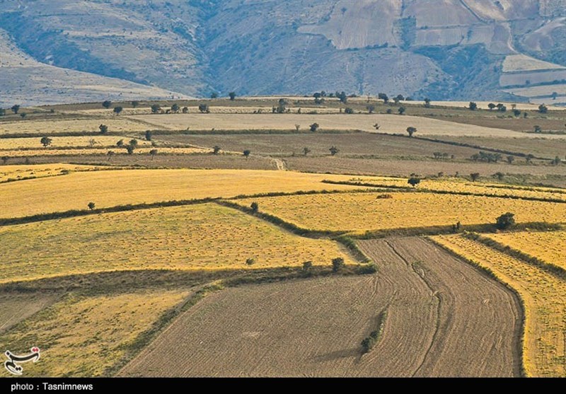 کشاورزی , استانداری خراسان شمالی , قیمت نان , عکس , 