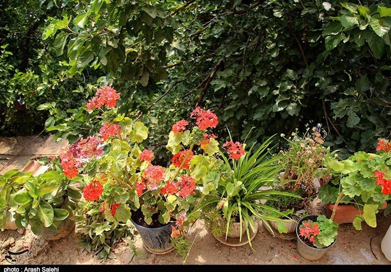 زندگی روستایی , اکوتوریسم , استانداری قزوین , 