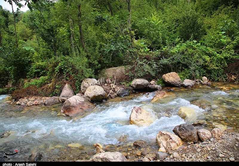 زندگی روستایی , اکوتوریسم , استانداری قزوین , 