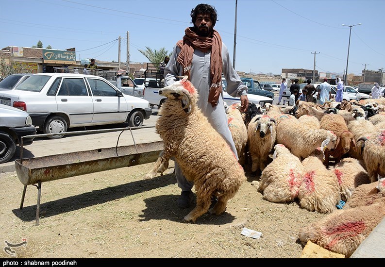 استان سیستان و بلوچستان , عید قربان ,