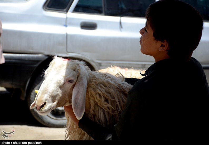 استان سیستان و بلوچستان , عید قربان ,