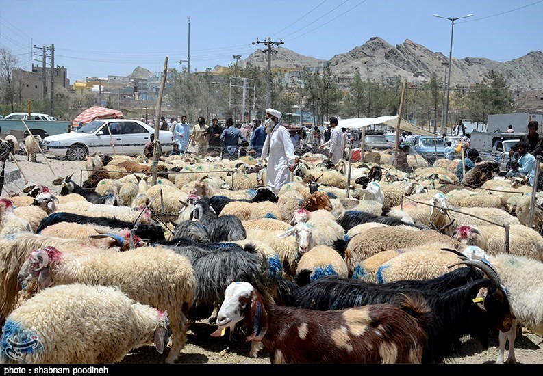استان سیستان و بلوچستان , عید قربان ,