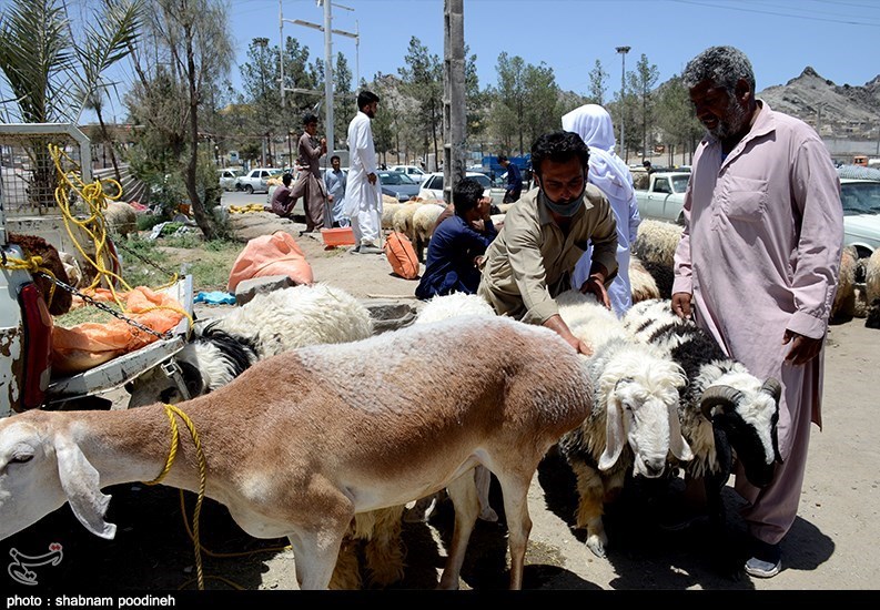 استان سیستان و بلوچستان , عید قربان ,