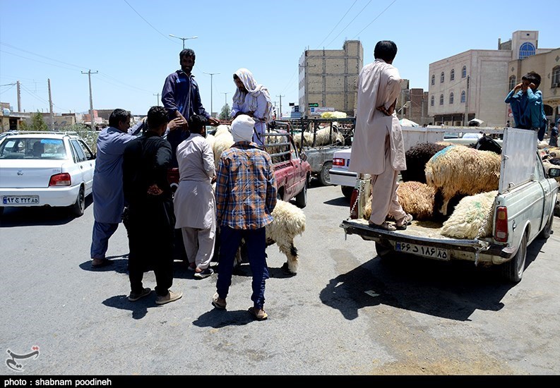 استان سیستان و بلوچستان , عید قربان ,