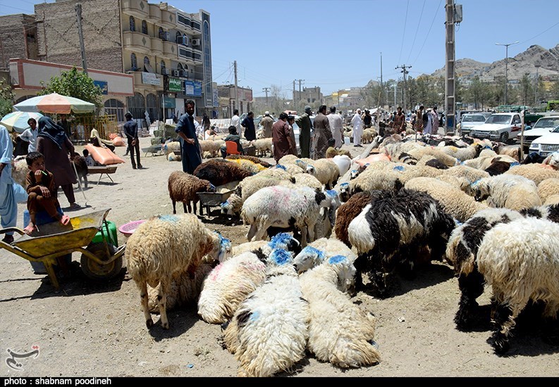 استان سیستان و بلوچستان , عید قربان ,