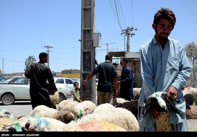 استان سیستان و بلوچستان , عید قربان ,
