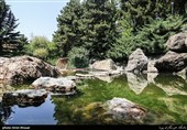 پایتخت سرسبز می‌شود