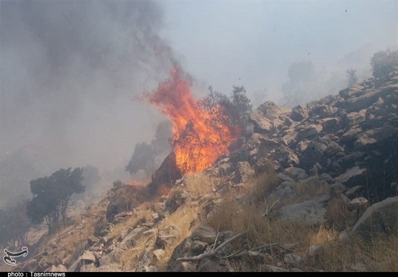 آتش سوزی جنگل ها و مراتع , 