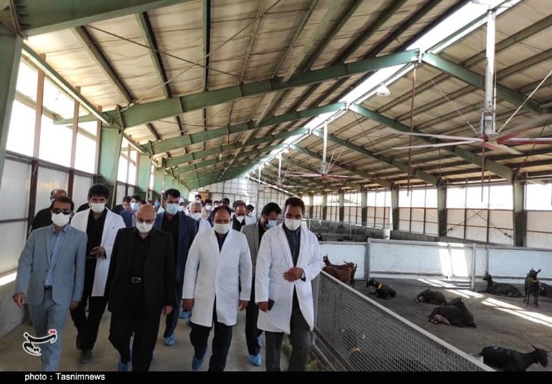 استان کرمان , هفته دولت ,