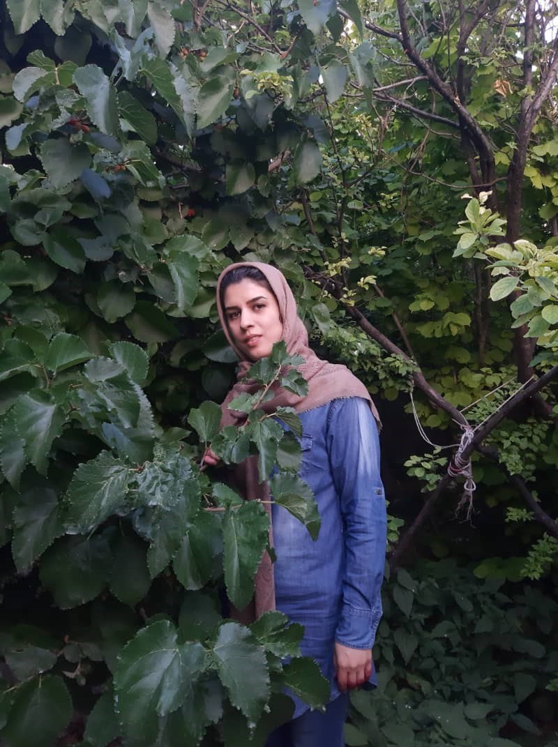 اهدای عضو , حوادث جادهای , بیمارستان ,