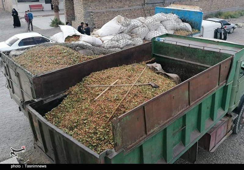 کشفیات پلیس , عملیات پلیس , 