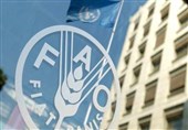 فائو: اثر جنگ خاورمیانه بر قیمت مواد غذایی هنوز نمایان نشده است